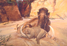 Baylor University Mammoth dig